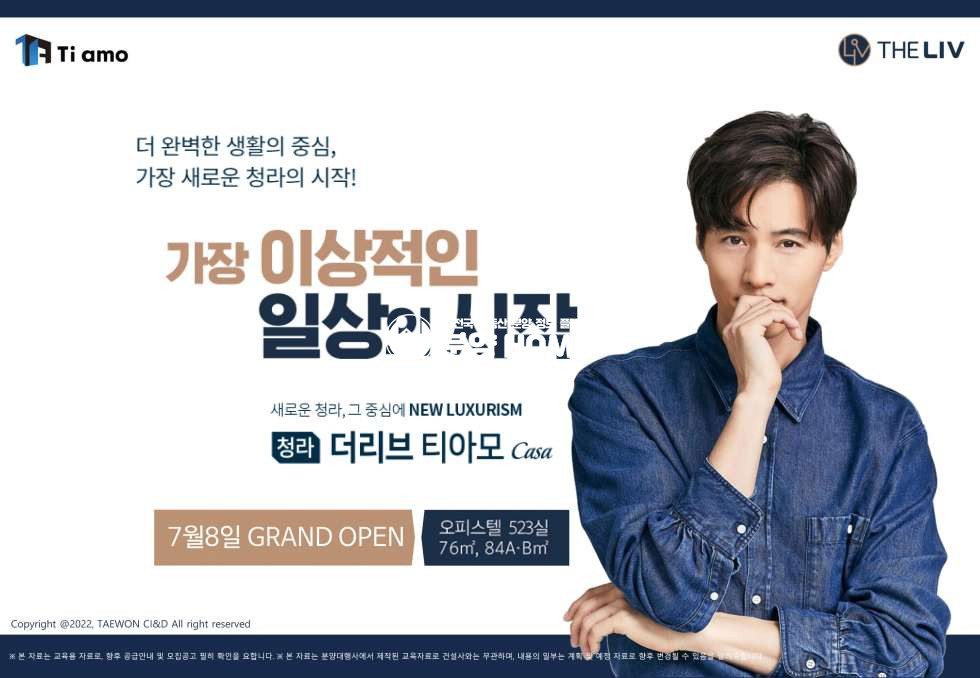 인천 서해구 청라동 청라 더 리브 티아모 까사 상업시설 분양 매물번호 10316 사진 3